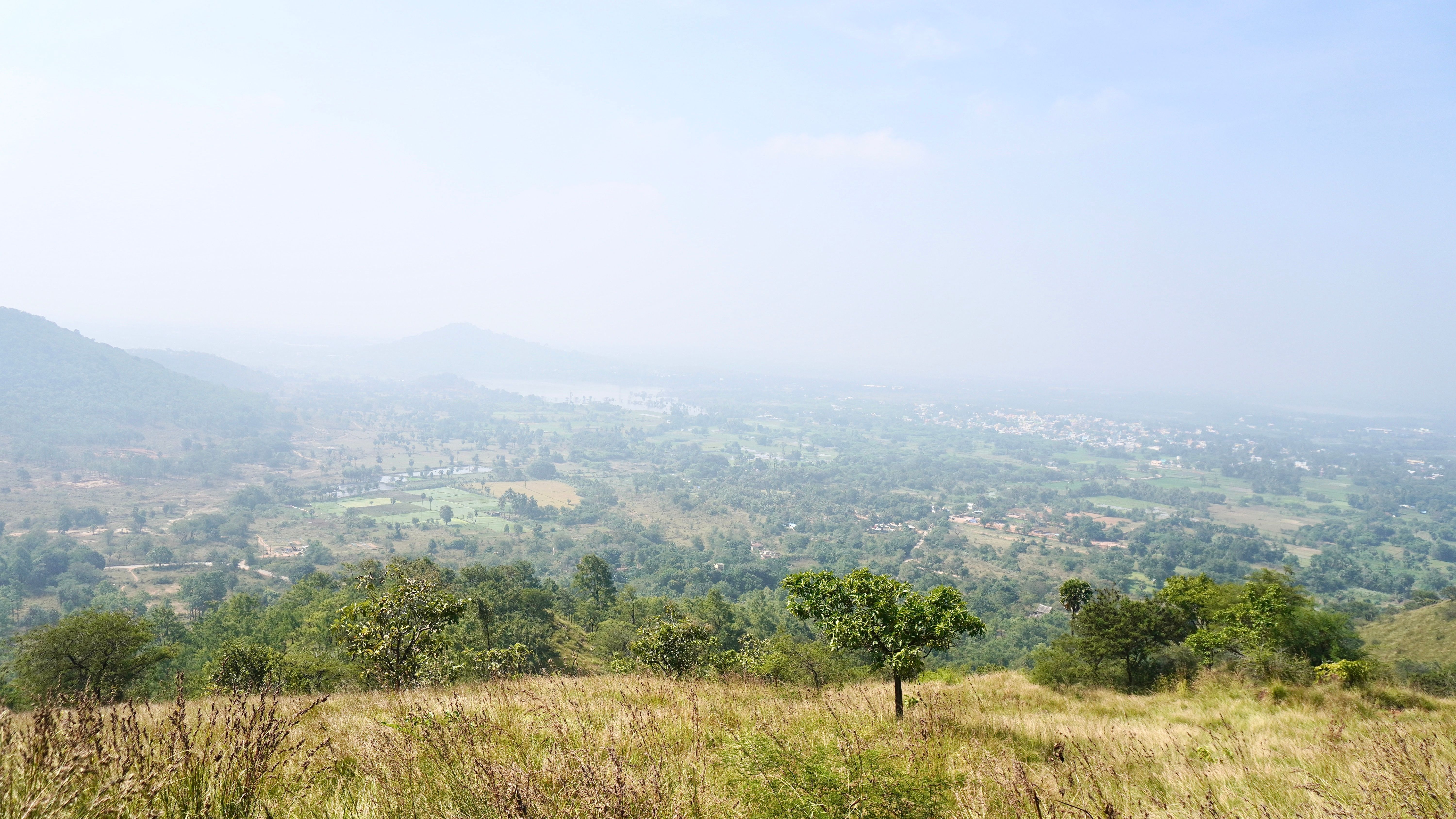 Breathtaking view of a fog-covered valley with lush greenery and rolling hills in summer.