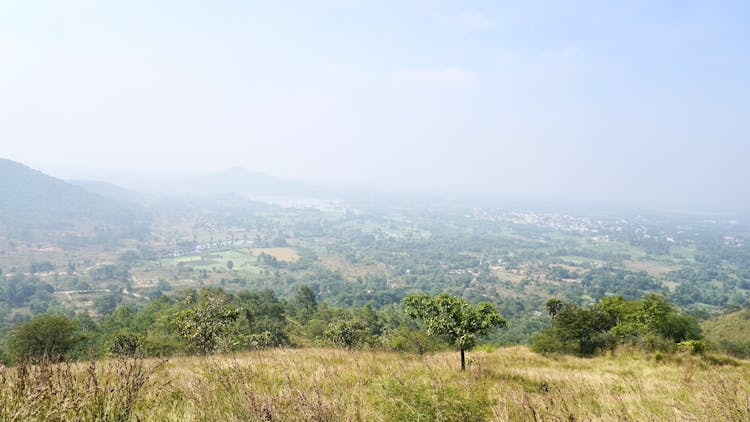 Summer Rural Landscape