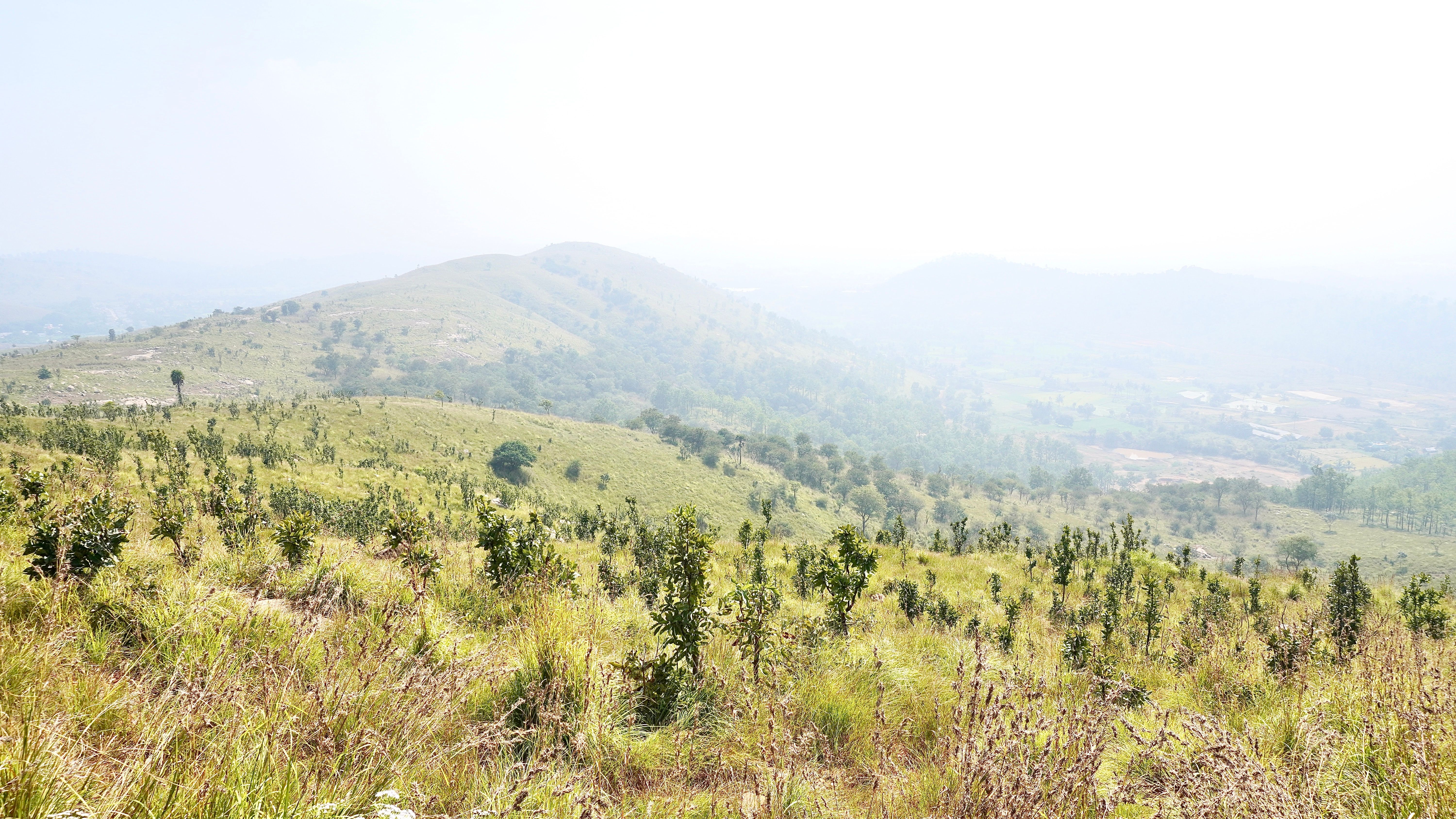 Benaka Residency Chikmagalur: Coffee Estate Stays in the Western Ghats