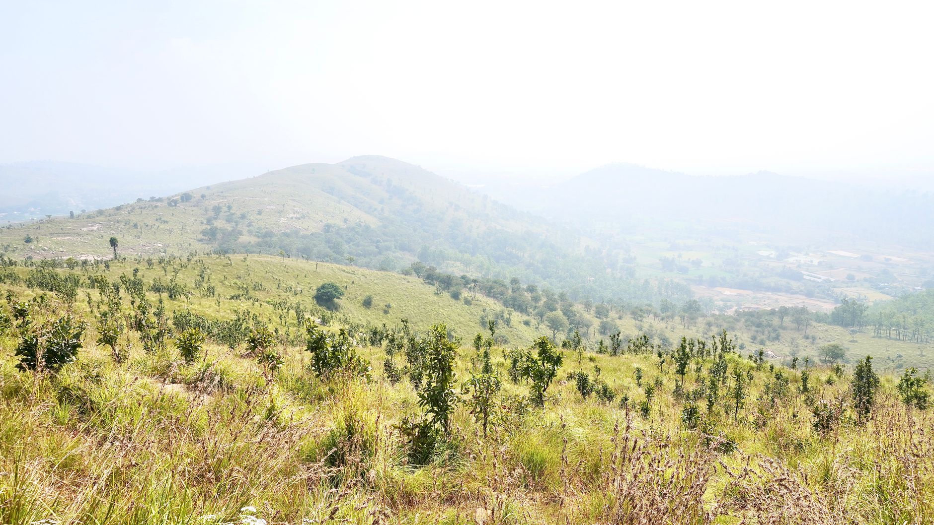Benaka Residency Chikmagalur: Coffee Estate Stays in the Western Ghats