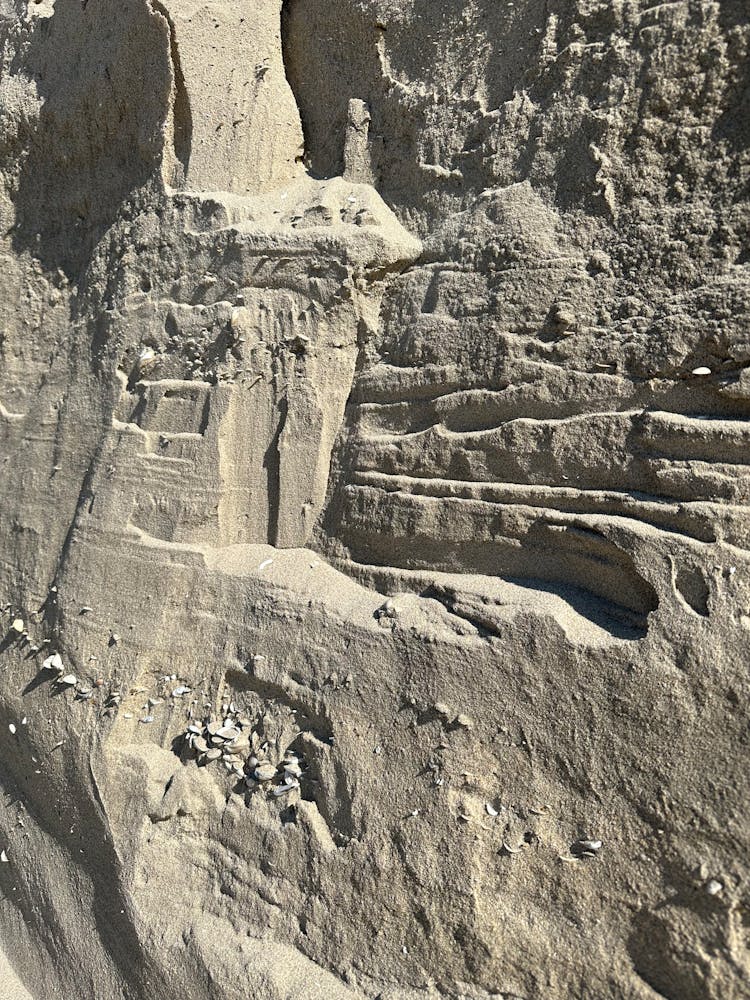 Ancient Carvings On Sunlit Rocks