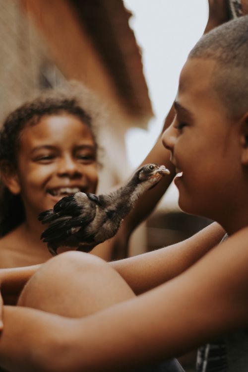 Free Two smiling children interacting with a chick, symbolizing innocence and joy. Stock Photo