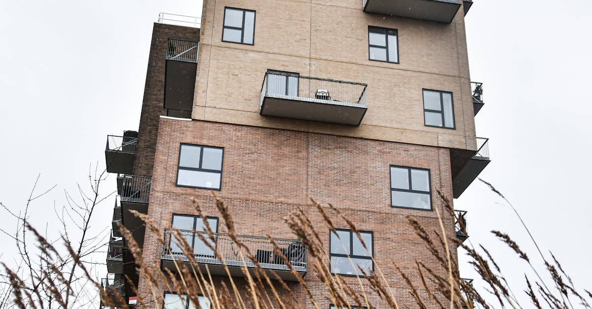 Rushes and Building with Balconies behind · Free Stock Photo