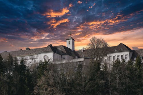 Foto d'estoc gratuïta de arbres, capvespre, edificis