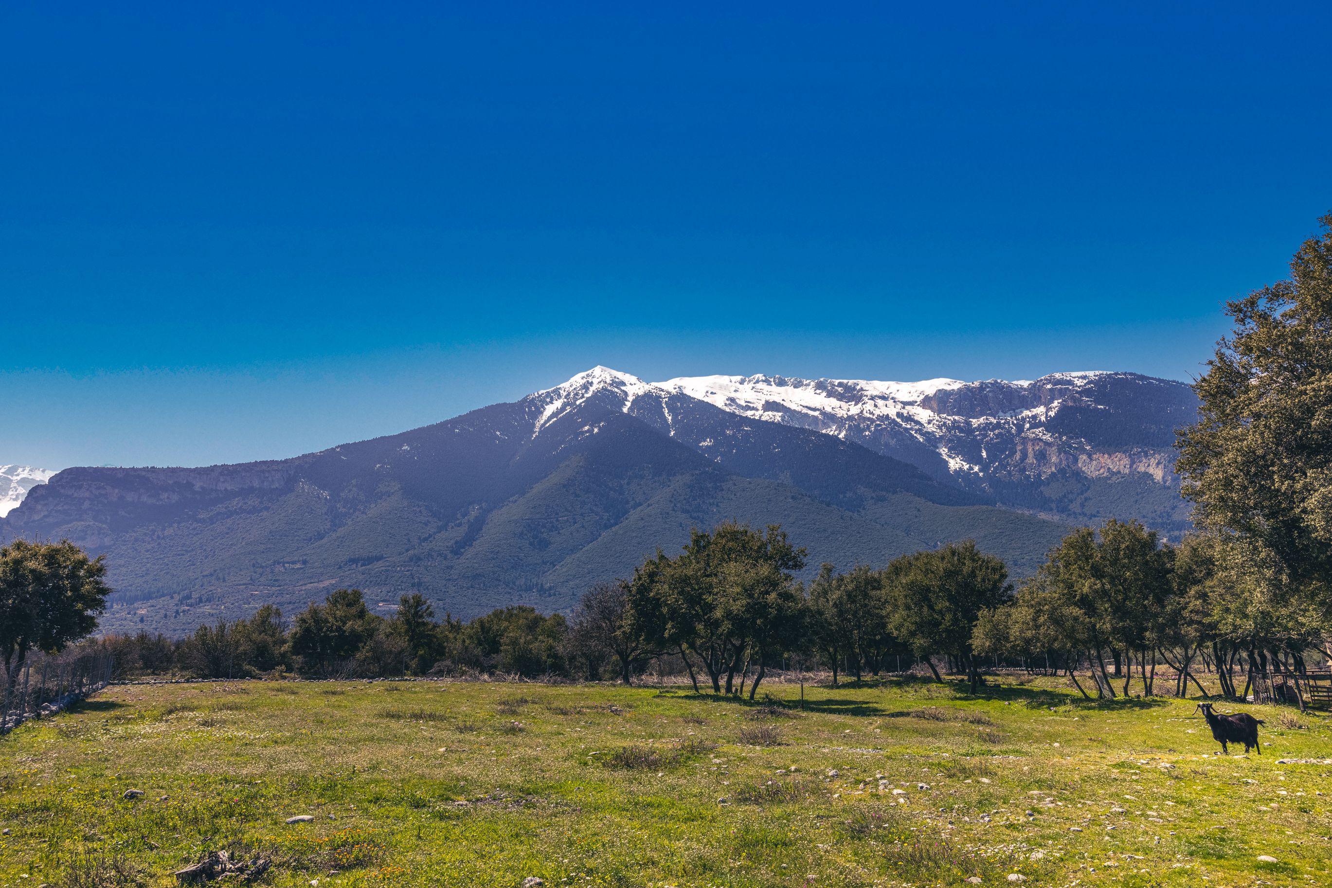 Aliveri