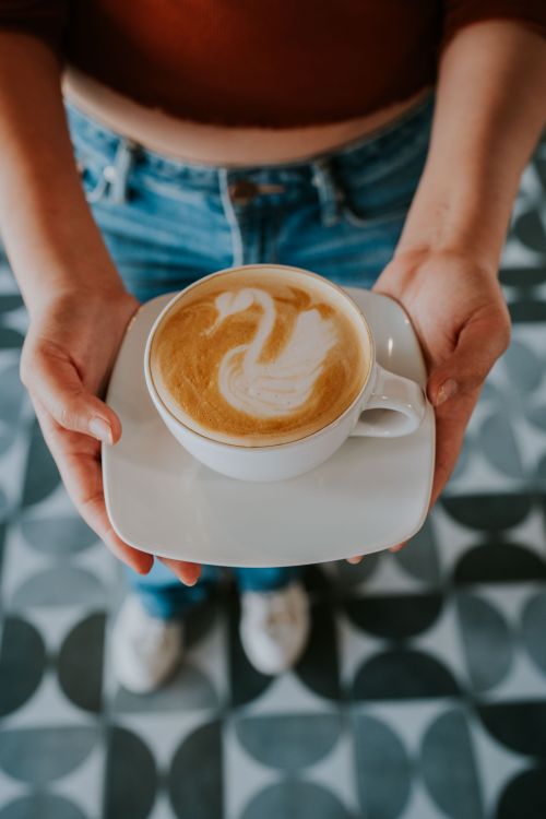 Free Close-up of a latte with swan art held by a person in a café, perfect for lifestyle photography. Stock Photo
