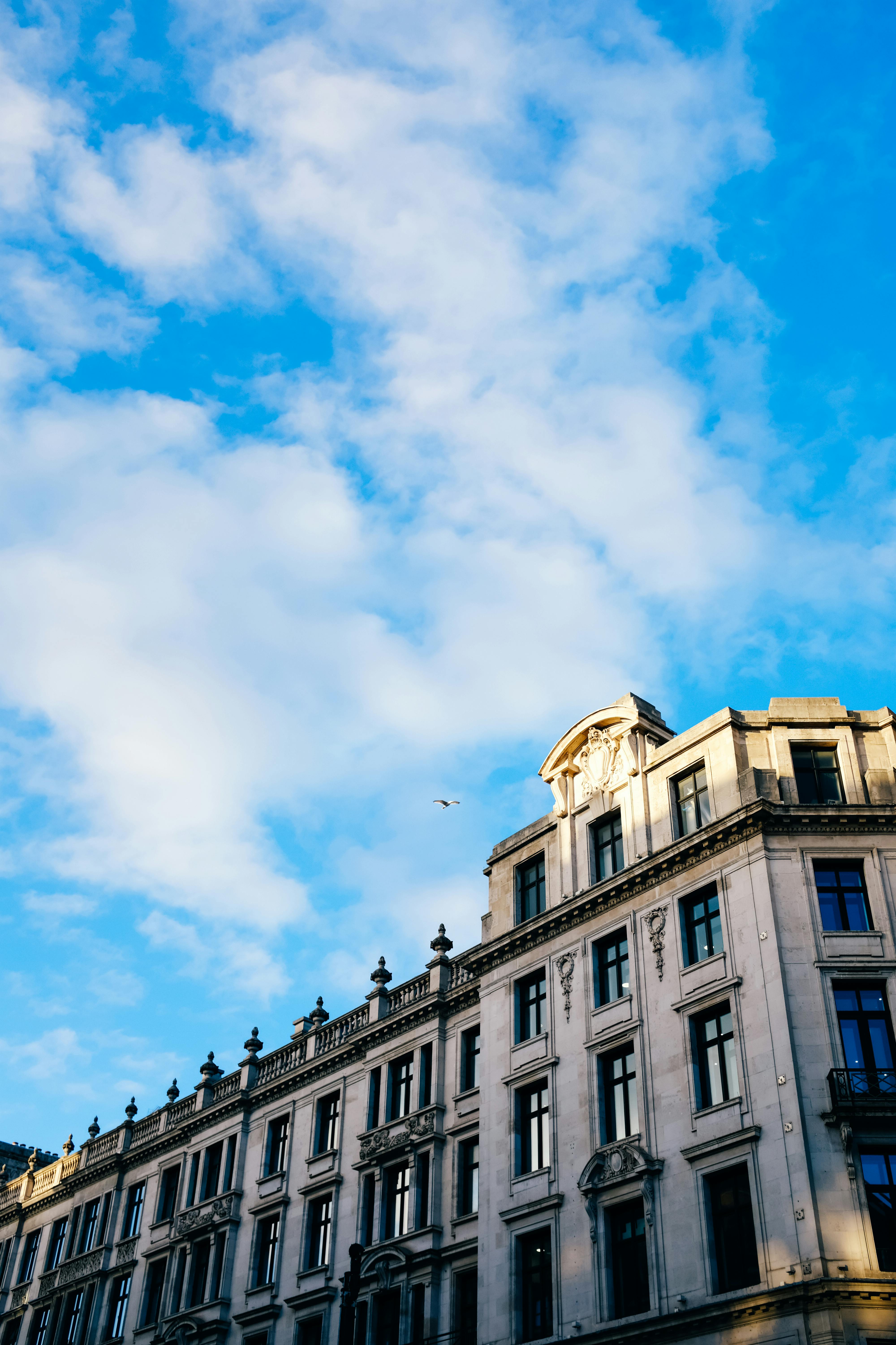 Black and Blue Doors in Building · Free Stock Photo