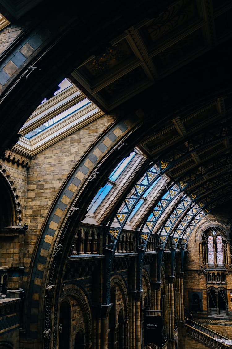 Interior Of The Natural History Museum In London, England