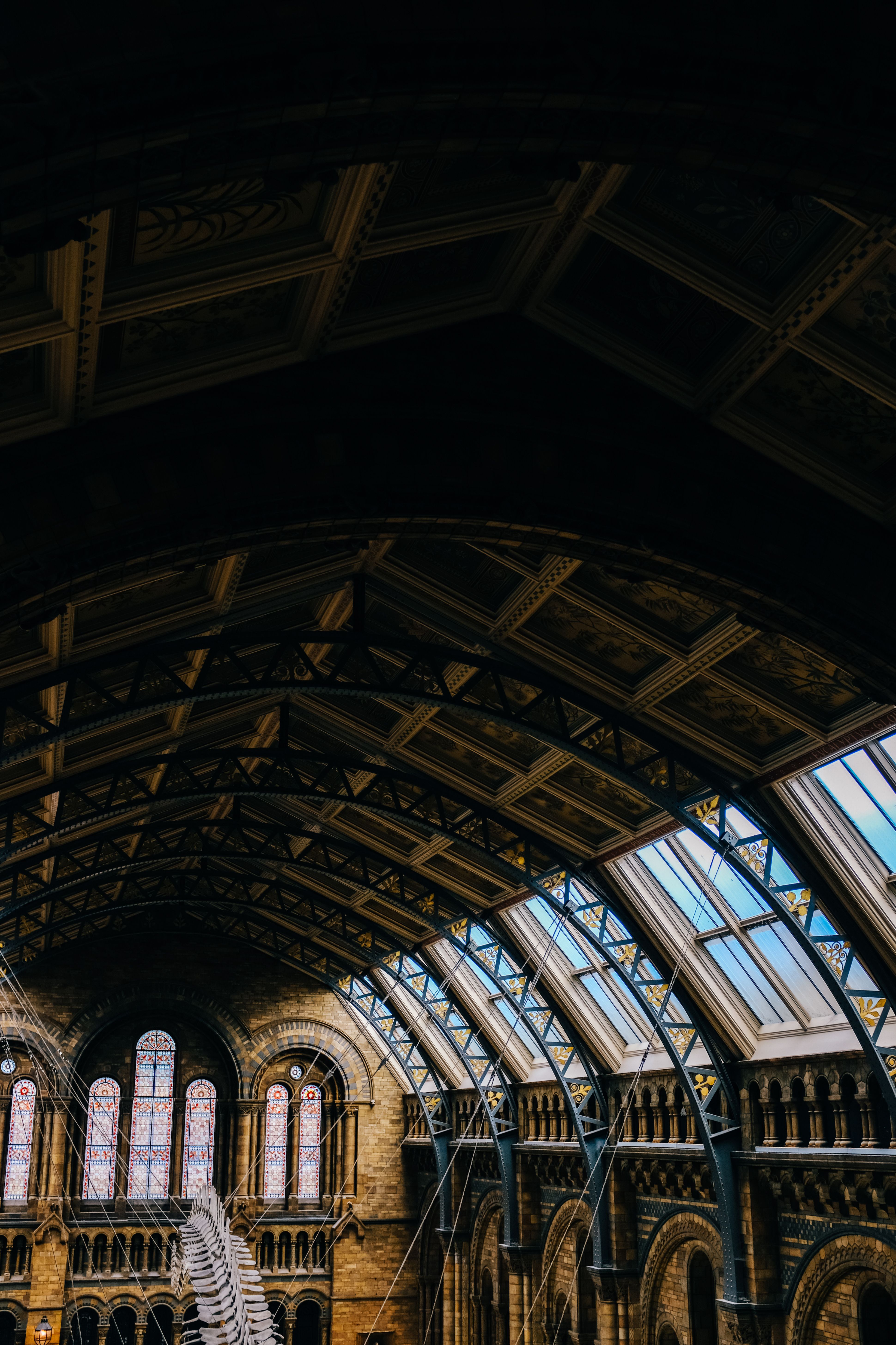 Intérieur du Natural History Museum de Londres avec architecture victorienne et verrière