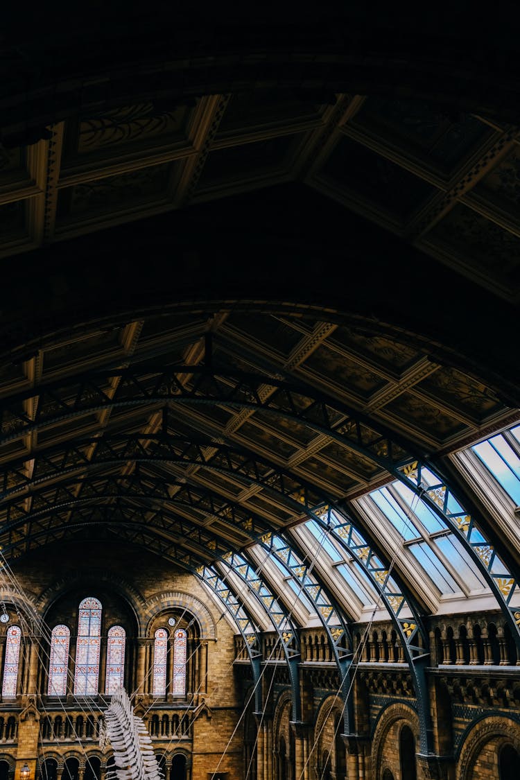 Interior Of The Natural History Museum In London, England