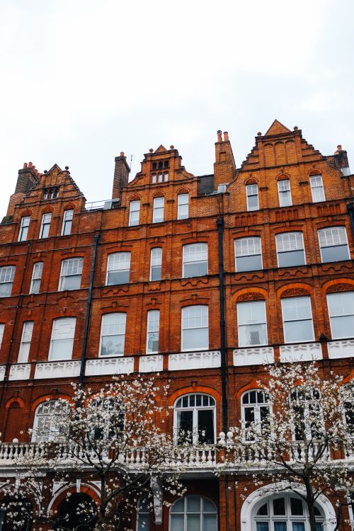Free Classic red brick facade of a residential building in London with spring blossoms. Stock Photo