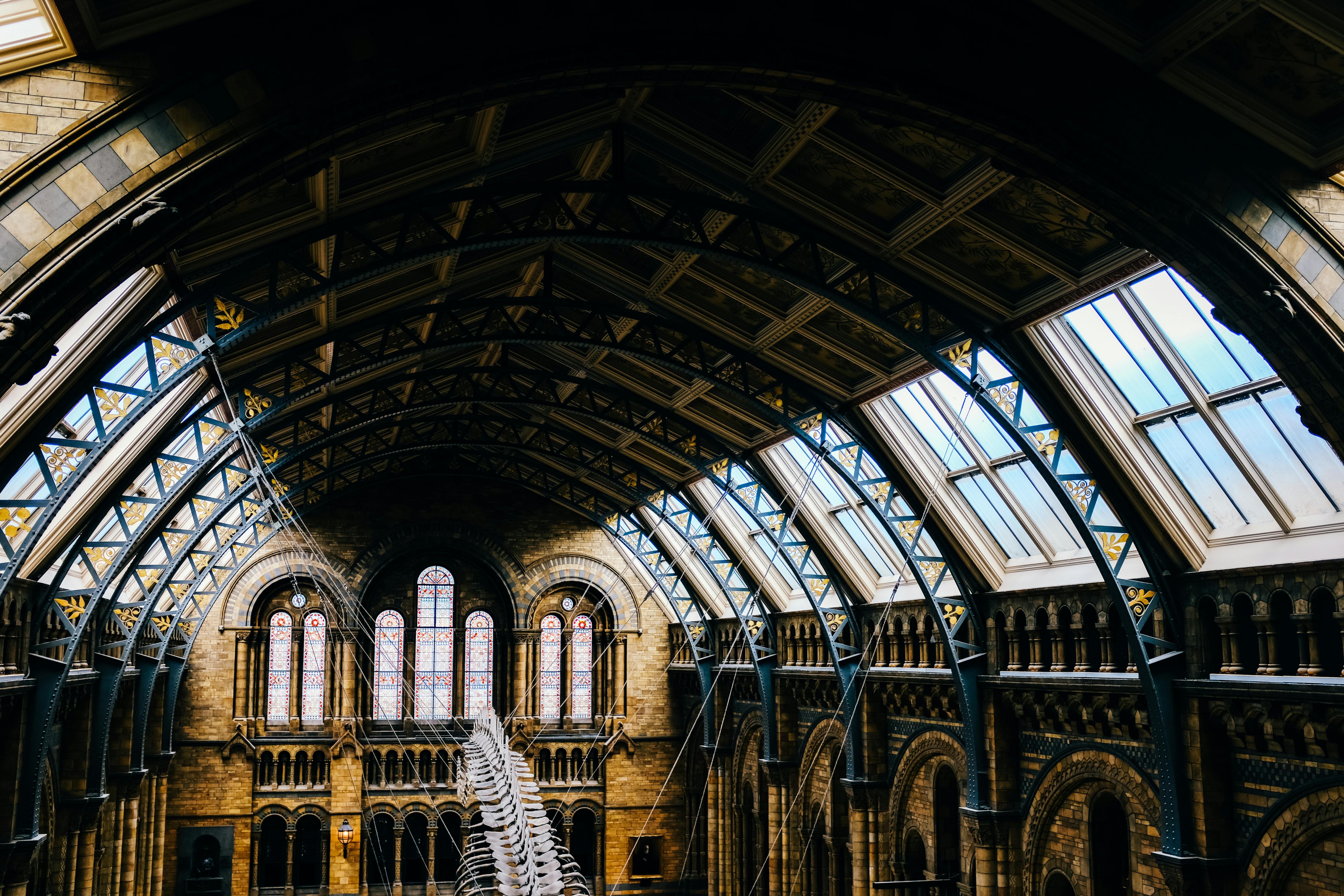 Stunning view of the Victorian-style interior of the Natural History Museum in London featuring intricate architecture and a majestic skeleton.