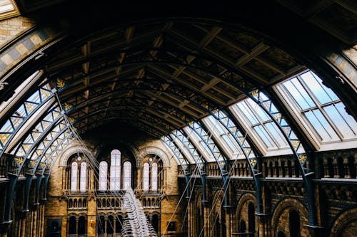 런던, 박물관, 빅토리아 건축의 무료 스톡 사진