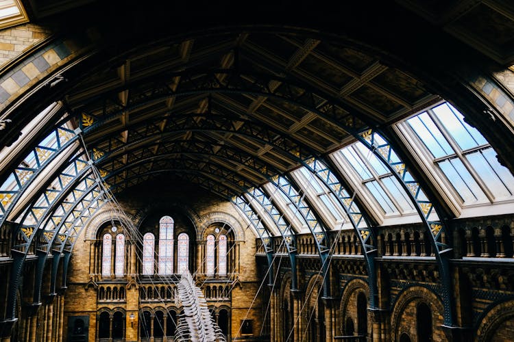 Interior Of The Natural History Museum In London, England