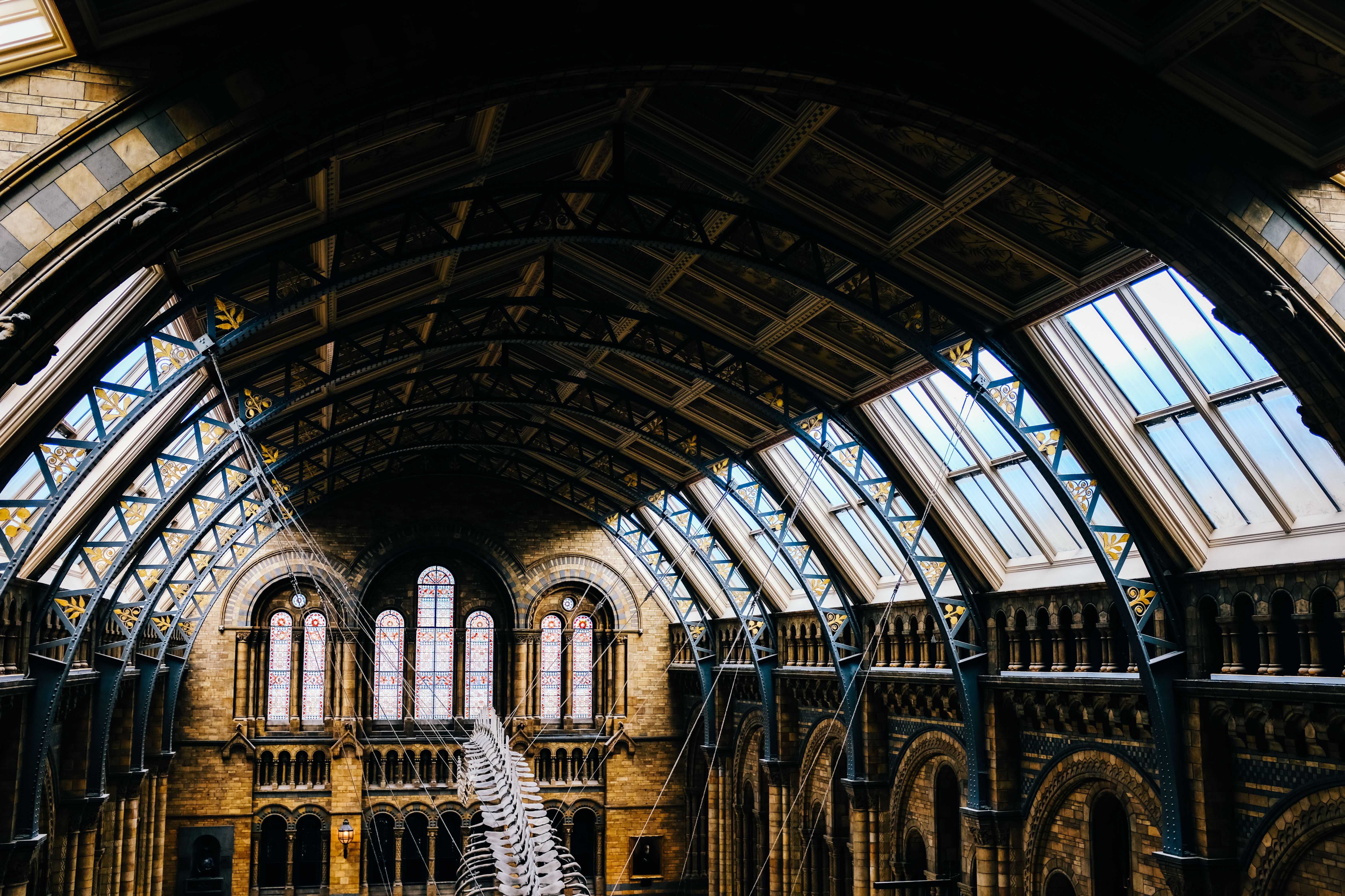 Interior of the Natural History Museum in London, England · Free Stock ...