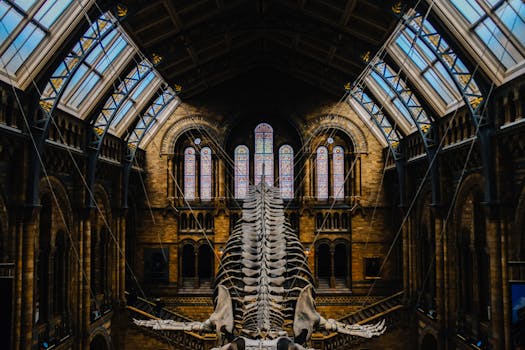 Majestic dinosaur skeleton displayed in museum's grand hall with stained glass windows.
