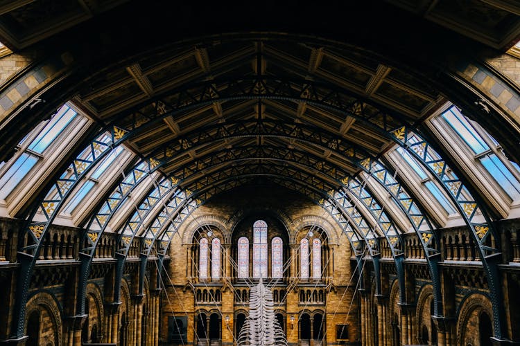 Interior Of The Natural History Museum In London, England