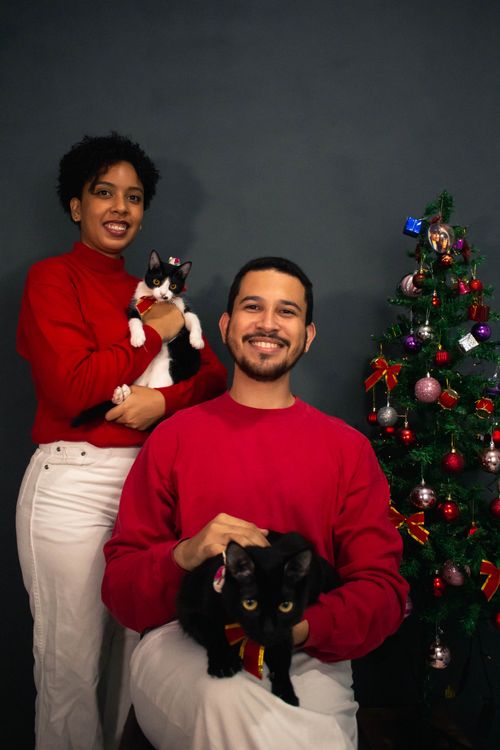 Free Festive portrait of a couple in red sweaters with cats by a decorated Christmas tree. Stock Photo