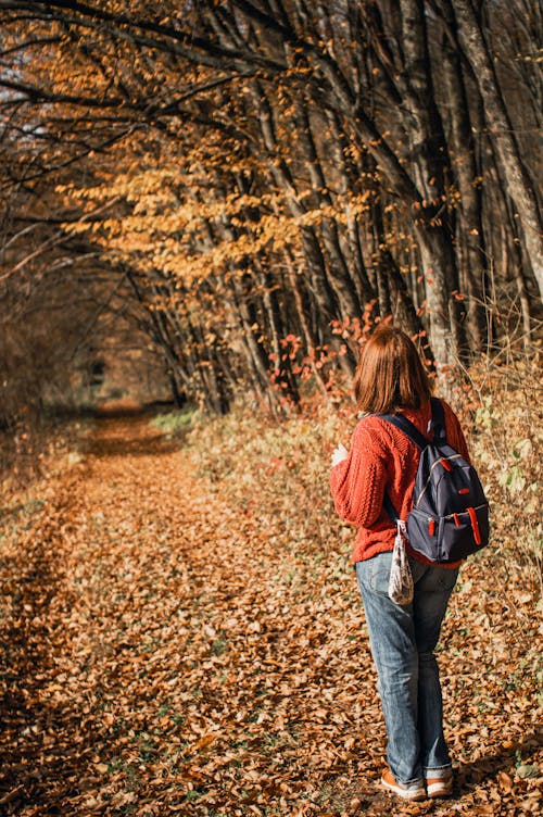 Woman with a Backpack in a Forest in Autumn 