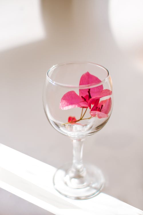 Pink Flowers in Glass