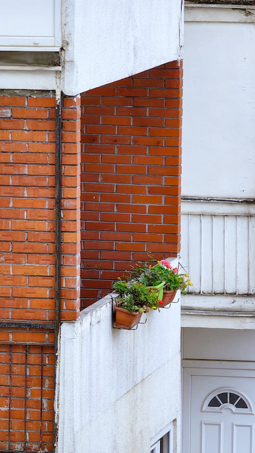 Kostnadsfri bild av balkong, blommor i vas, gammal byggnad