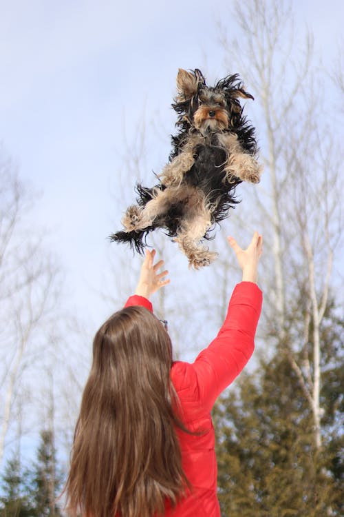 Woman Tosses Dog Upward