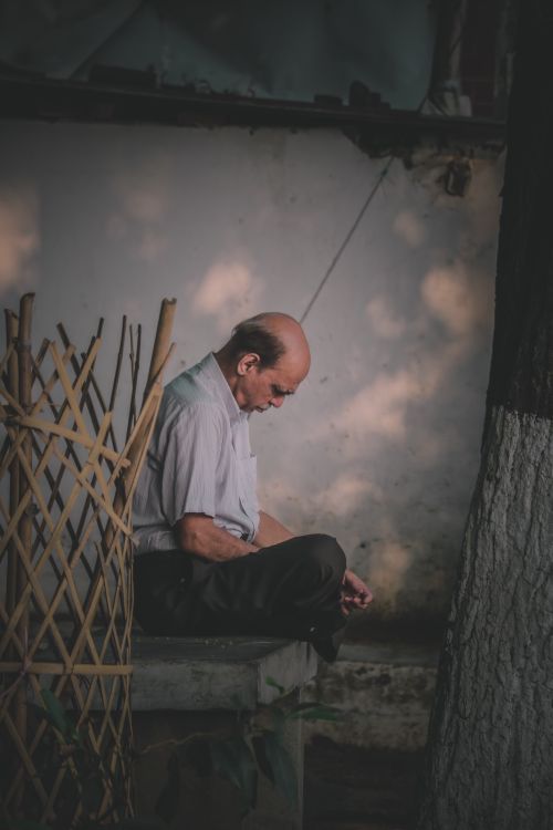 Free Elderly man sitting in quiet contemplation, surrounded by nature, shadows casting softly. Stock Photo