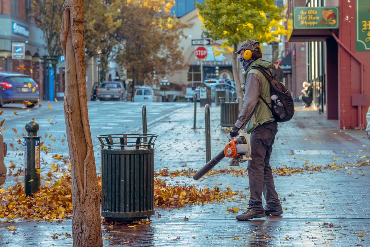 Person holding a cordless leaf blower in a yard