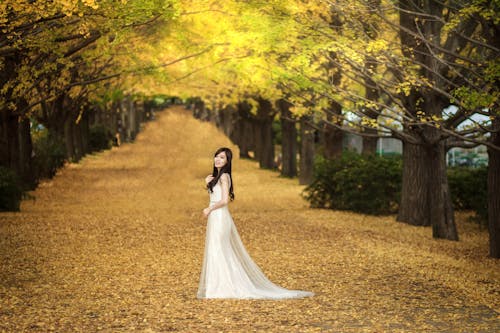 Bride Posing in Wedding Dress on Yellow Alley under Trees in Autumn