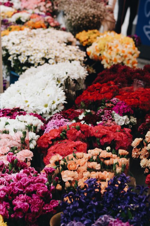 Free A colorful array of fresh flower bouquets arranged at a bustling local flower market stall. Stock Photo