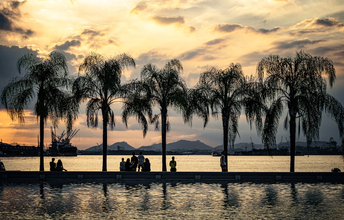 Palm Trees at Dusk 