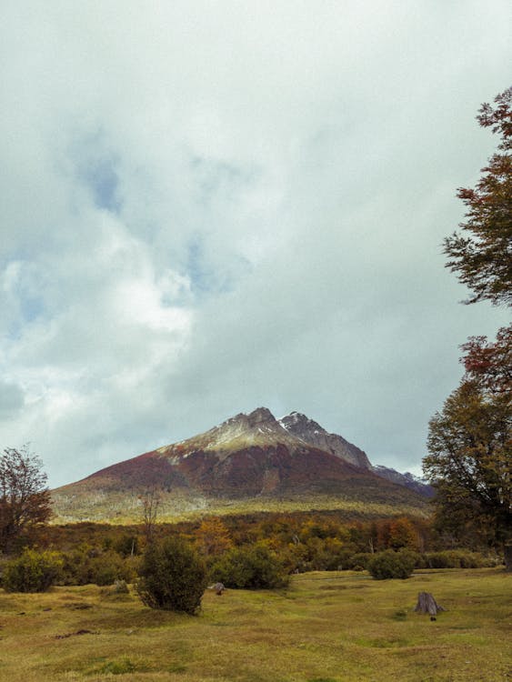 View of a Mountain in Autumn 