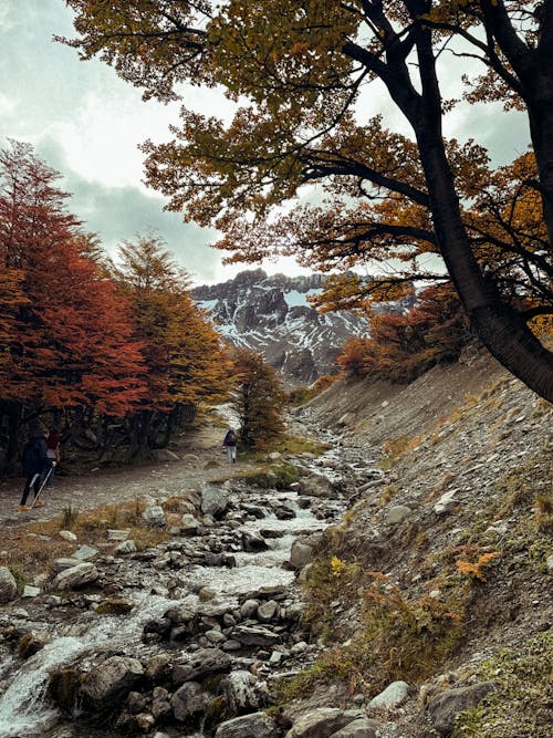 Hikers by Stream in Autumn