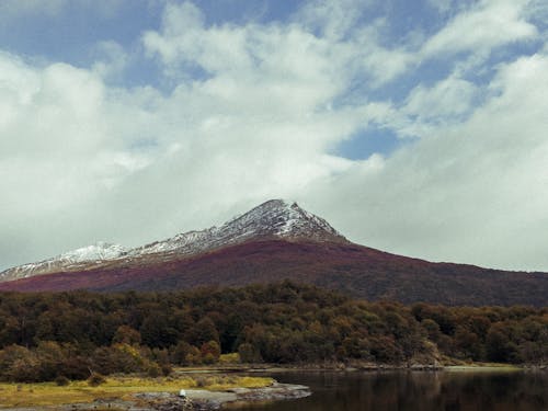 Landscape of a Mountain and a Forest in the Valley 