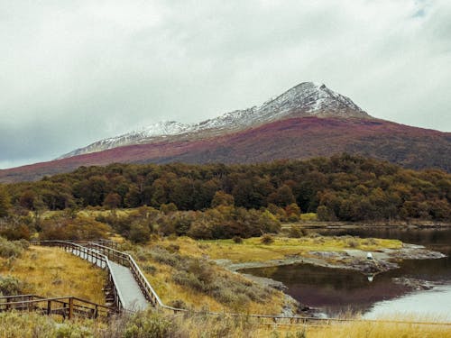 A Wooden Trail and the Landscape of a Mountain in Ushuaia, Argentina