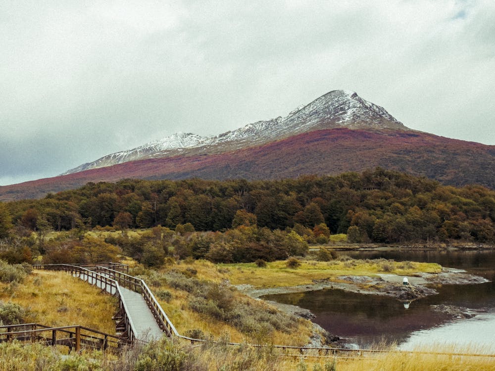 Gratis arkivbilde med Argentina, fjell, gangsti