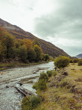Majestätische Naturszene mit Herbst