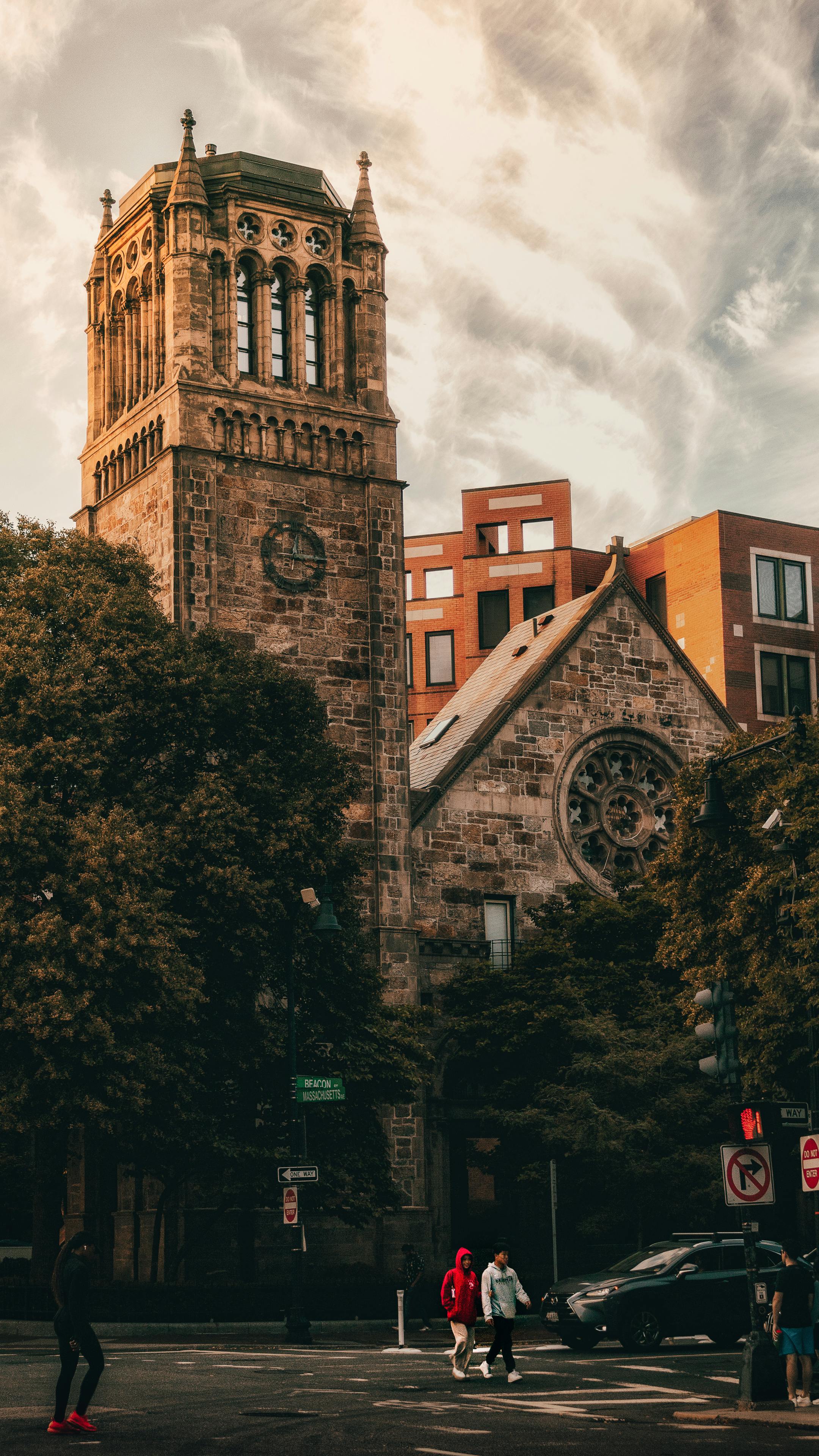 16 Arane Wit-Witan Lengkap ( Nama Pohon ) Dalam Bahasa Jawa