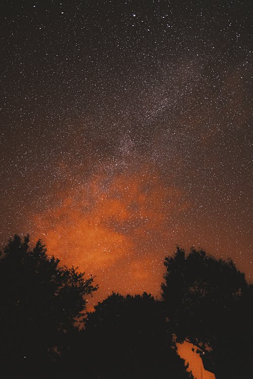 Kostenlos Kostenloses Stock Foto zu astronomie, bäume, himmel Stock-Foto