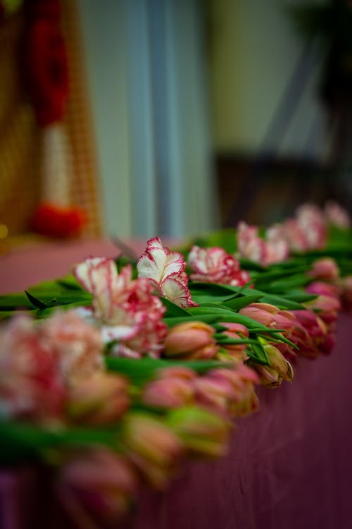 A Bunch of Colorful Flowers on a Table 