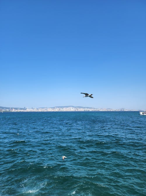 dikey atış, hareket halinde, Kent içeren Ücretsiz stok fotoğraf