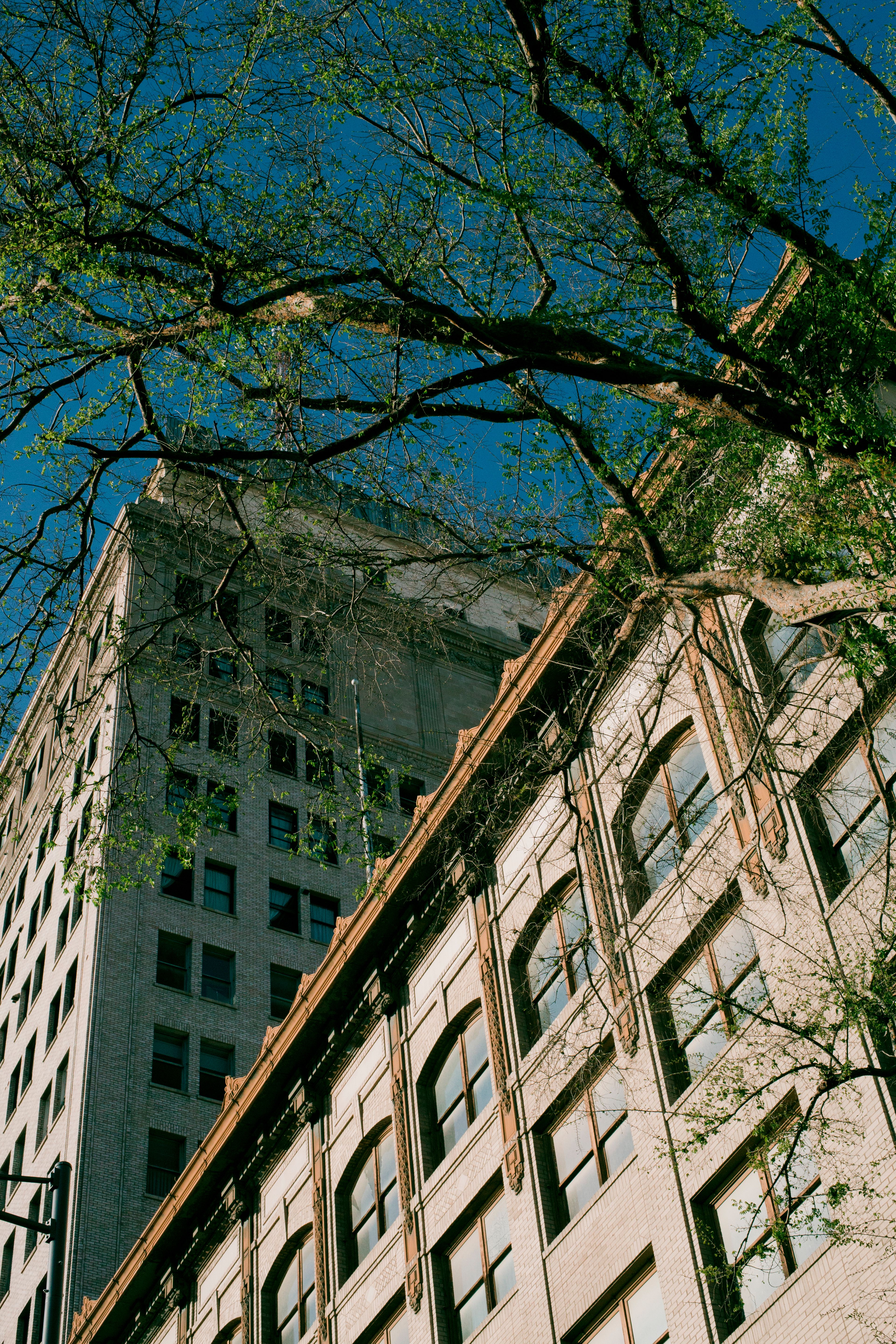 Low Angle Shot of High Rise Buildings · Free Stock Photo
