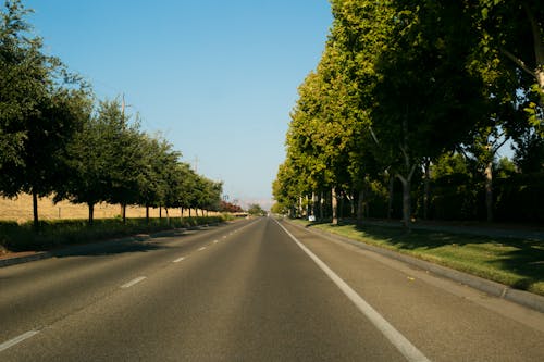 Symmetrical View of an Asphalt Road between Trees and Blue Sky 