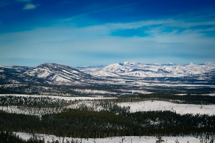 Forest And Mountains In Winter