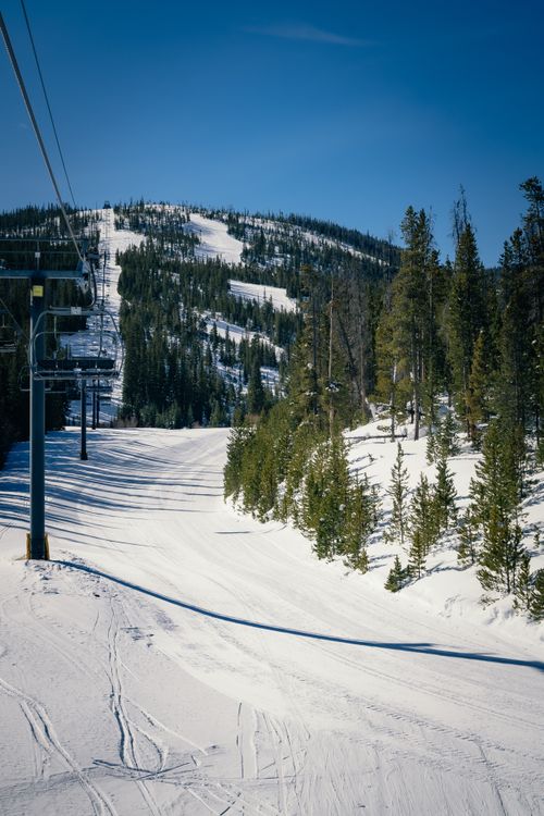 Free Peaceful ski slope surrounded by pine trees under clear blue sky, perfect for winter sports enthusiasts. Stock Photo
