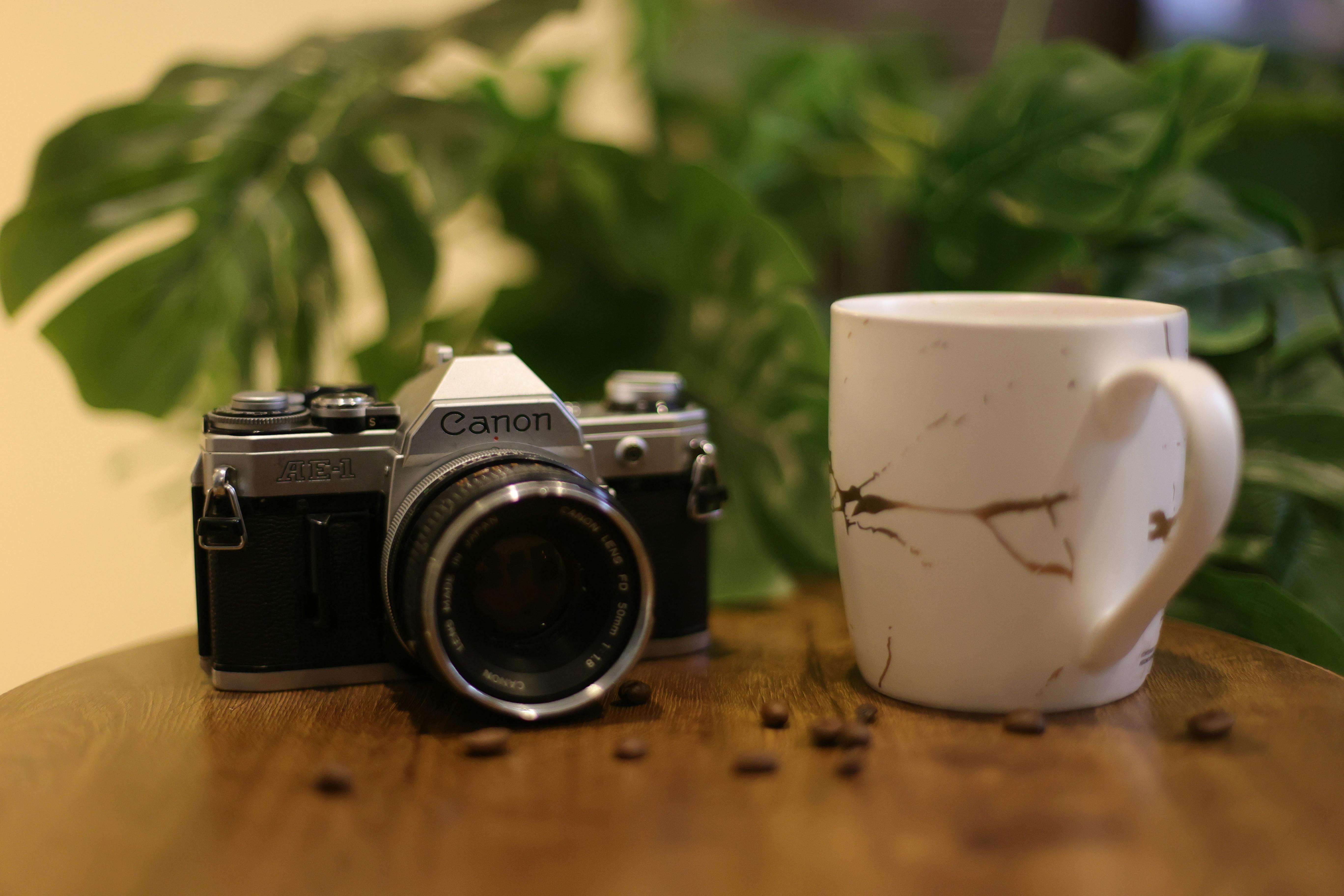 coffee mug natural light lifestyle photo 2