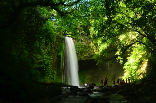 Free stock photo of buruwisan falls, laguna