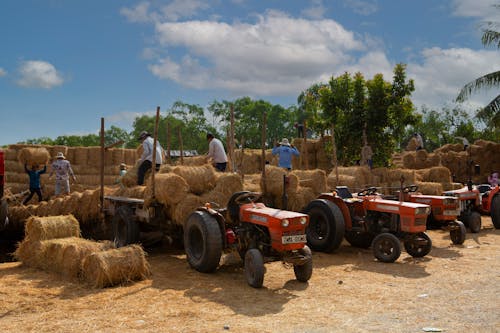 农民, 夏天, 拖拉機 的 免费素材图片