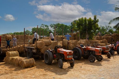 Free Farmers stacking hay bales on trucks in a rural field, using tractors under a sunny sky. Stock Photo