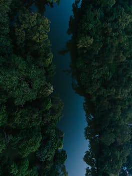 Aerial shot capturing lush greenery surrounding a serene river in Abuja, Nigeria.